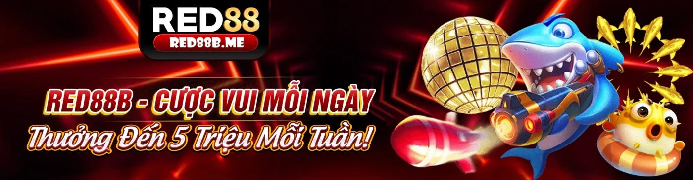 Hình ảnh Chính sách Cookie b29club win